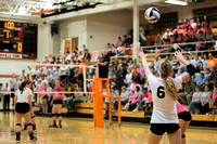 Volley for the Cure '14